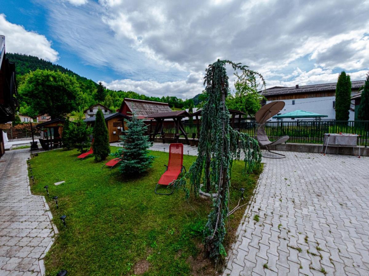 Pensiunea Alyna Borşa Exterior foto