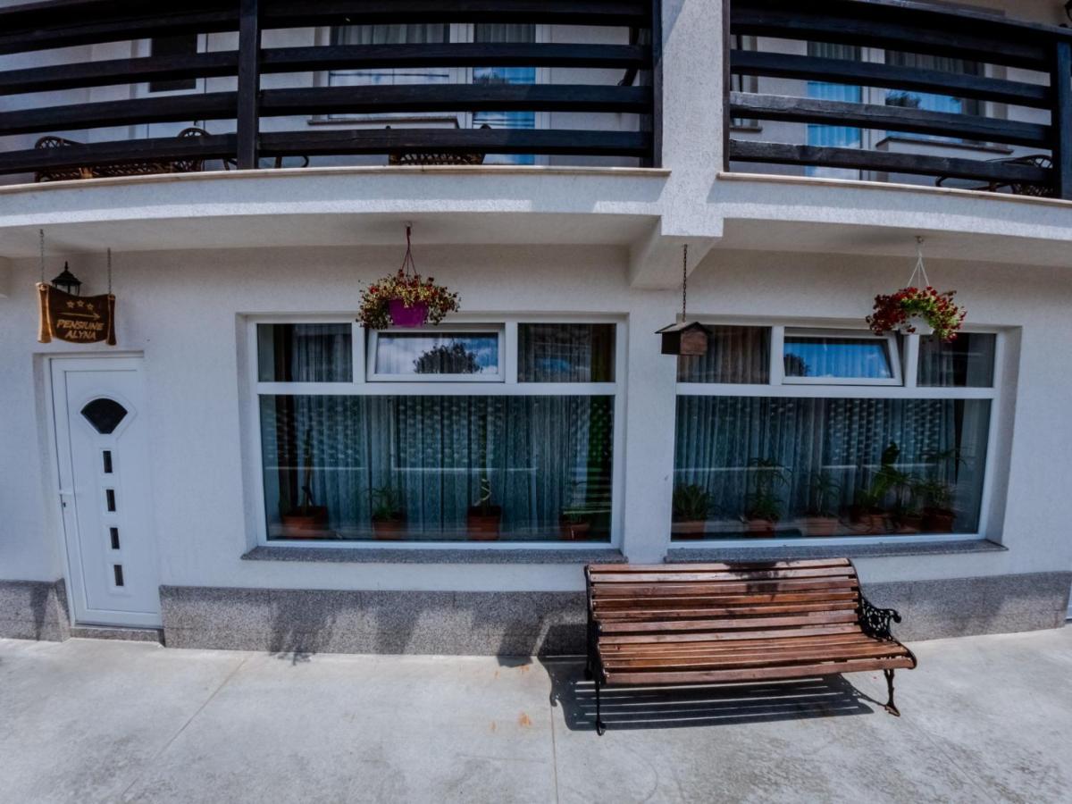 Pensiunea Alyna Borşa Exterior foto