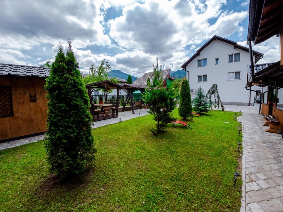 Pensiunea Alyna Borşa Exterior foto